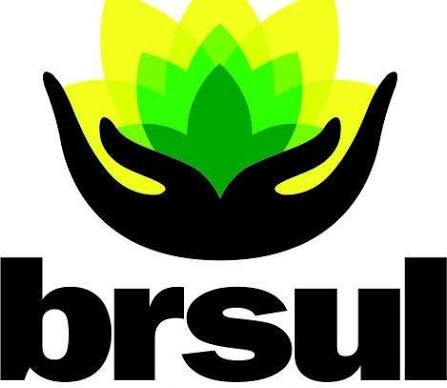 BR SUL Química